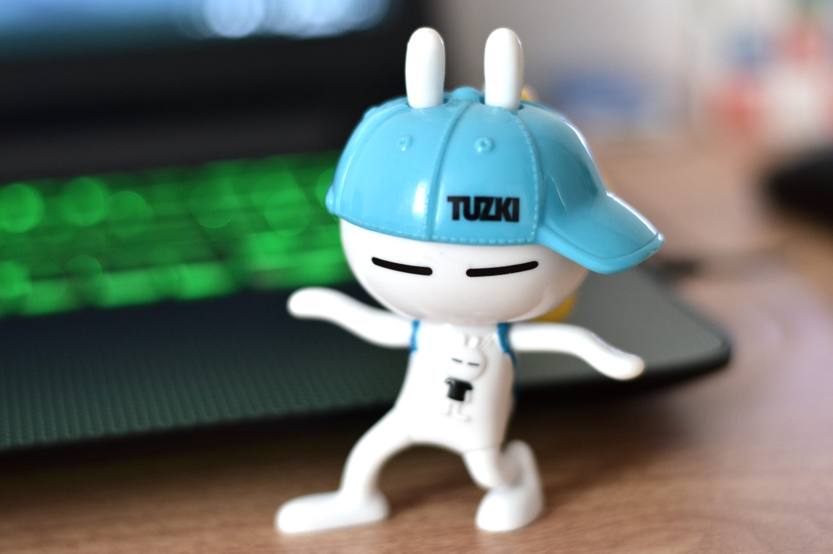Tuzki20161017